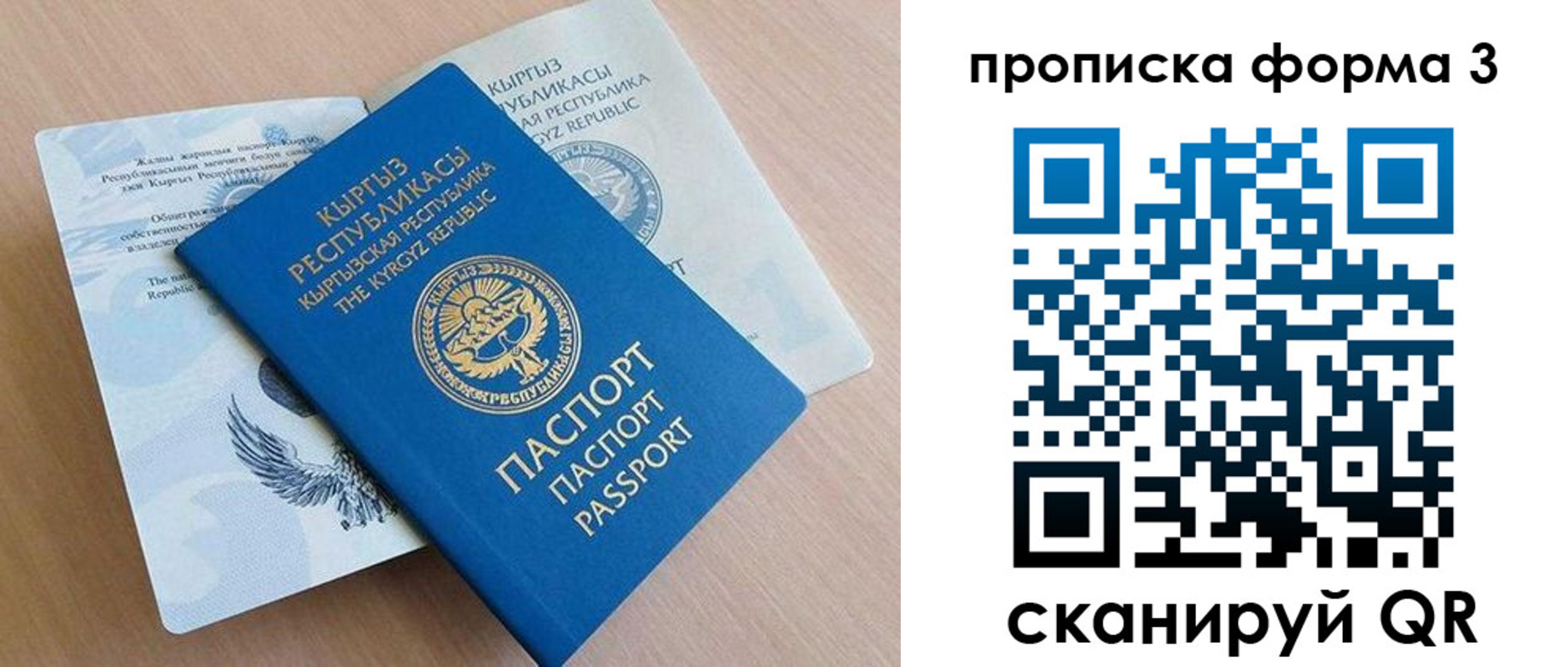 где прописаться в Павловске