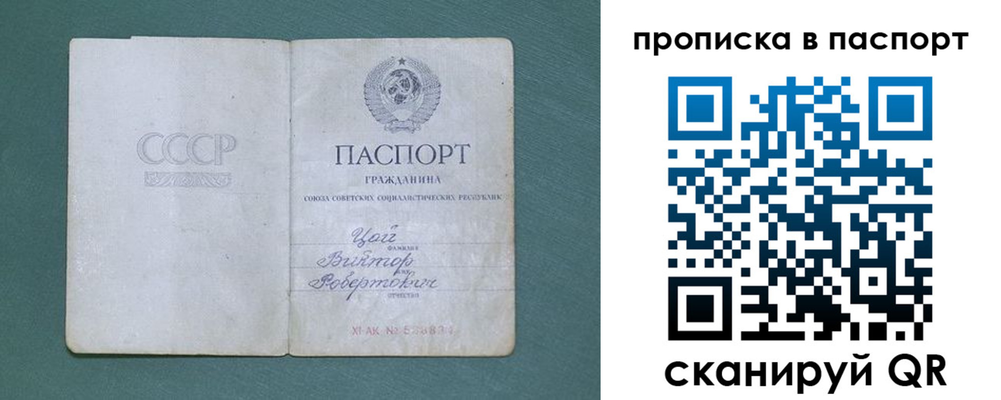 пропишу в квартире в Павловске